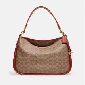 COACH Coated Canvas Signature Cary Crossbody Tan Rust