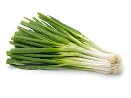 GREEN ONION SCALINE