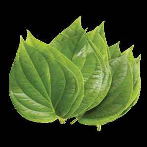 PAN LEAVES