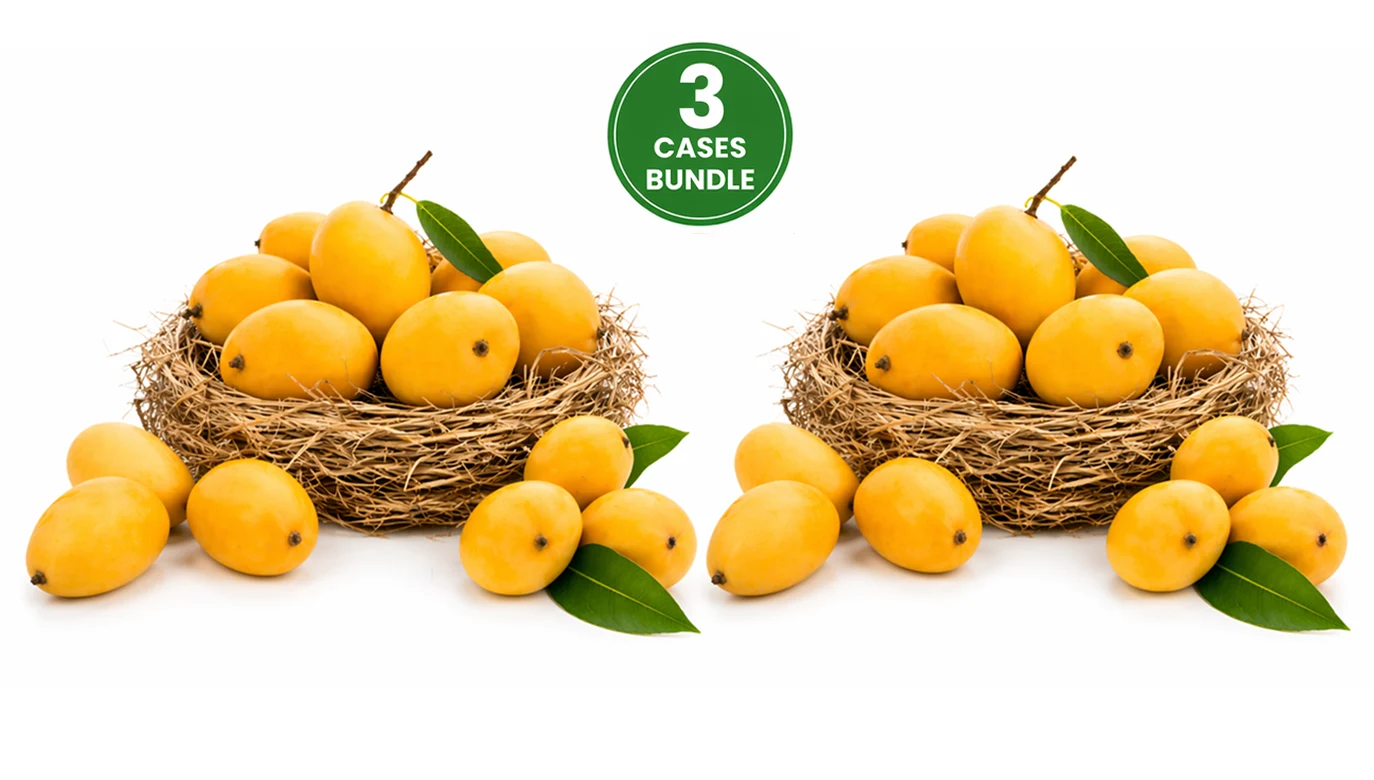 Fresh Indian Kesar Mangoes Large Combo Of 30-36