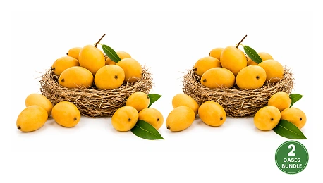 Fresh Indian Kesar Mangoes Medium Combo Of 16-20
