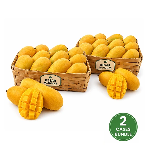 Fresh Kesar Mango 2 Case 16 20 Pcs 