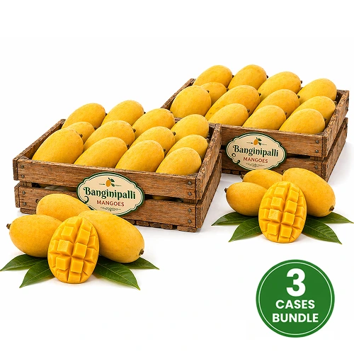  Fresh Banganapalli Mango 3 Case 24 30 Pcs
