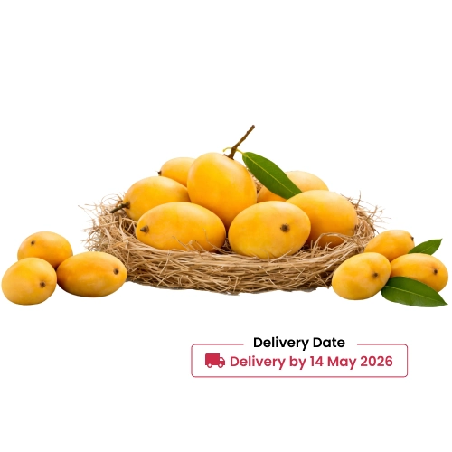 Fresh Banganapalli Mango 1 Case 8 10 Pcs 