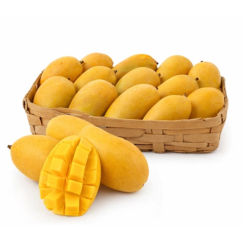 Fresh Kesar Mango 1 Case 8 10 Pcs