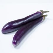 CHINESE EGGPLANT