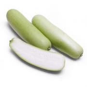 OPO SQUASH ( LAUKI )