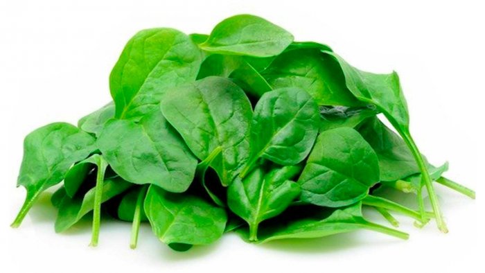 BABY SPINACH