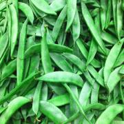VALOR BEANS FLAT
