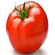 TOMATO - TOMATOES REG LG