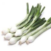 GREEN ONION