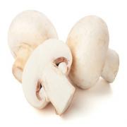 WHITE MUSHROOM