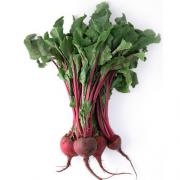 BUNCH BEET
