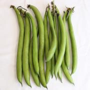 POLE BEANS