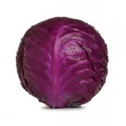 RED CABBAGE