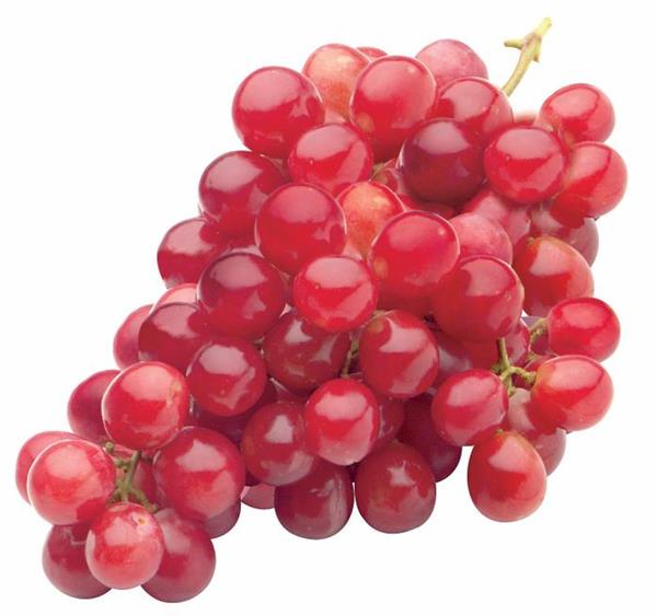 GRAPE GLOBE RED