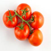 TOMATO - TOMATOES ON VINE