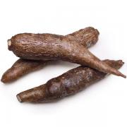 YUCA ROOT