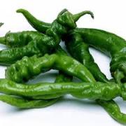 PEPPER - PEPPER LONG GREEN