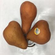 BOSC PEARS (LG)