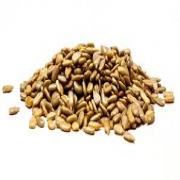 ROASTED SALTED SUNFLOWER KERNEL
