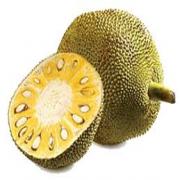 JACK FRUIT