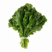 MUSTARD GREEN