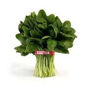 BUNCH SPINACH