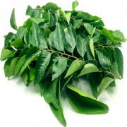 Curry Leaves (Big Pack)