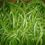 BEANS - VALOOR ROUND BEANS