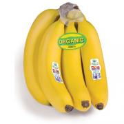 Organic Bananas