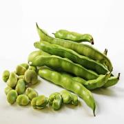 BEANS - FAVA BEANS