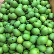 BABY GREEN MANGO