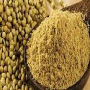 CORIANDER POWDER
