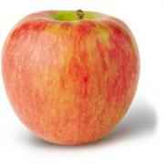 HONEY CRISP Apple