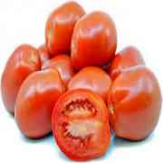 ROMA PLUM TOMATO