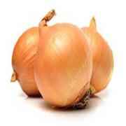 ONION SPANISH