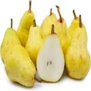PEAR BARTLETT LARGE