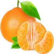 SWEET CLEMENTINE