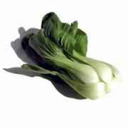 BABY BOCK CHOY