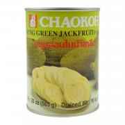 CHAOKOH GREEN JACKFRUIT