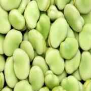 SARAY SMALL FAVA BEANS