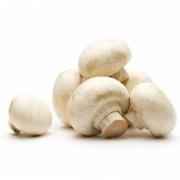 Whole Mini White Mushrooms
