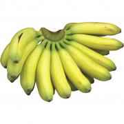 MANZANO BANANAS