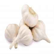 Garlic Fresh