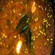 Rasam Soup