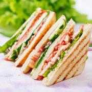 Bombay Grilled Veg Sandwich