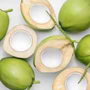 Young Coconut