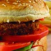 Veg Burger served w/ Masala Fries