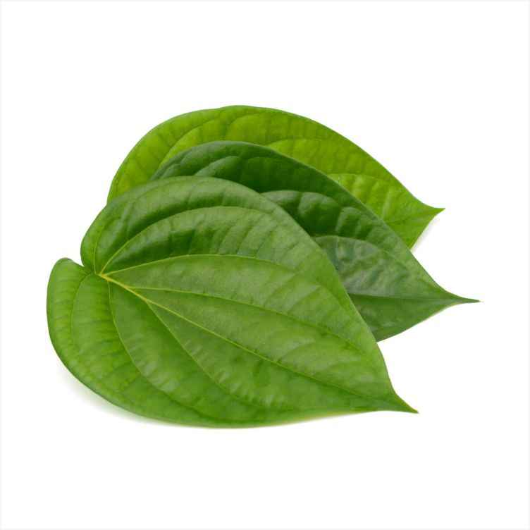 Rangoli - Paan Leaves